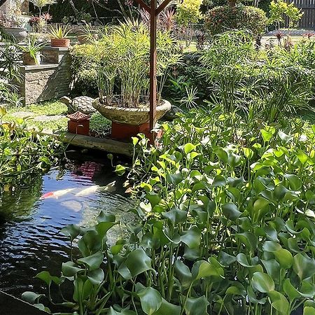Villa Anjing Нуса Дуа Екстериор снимка